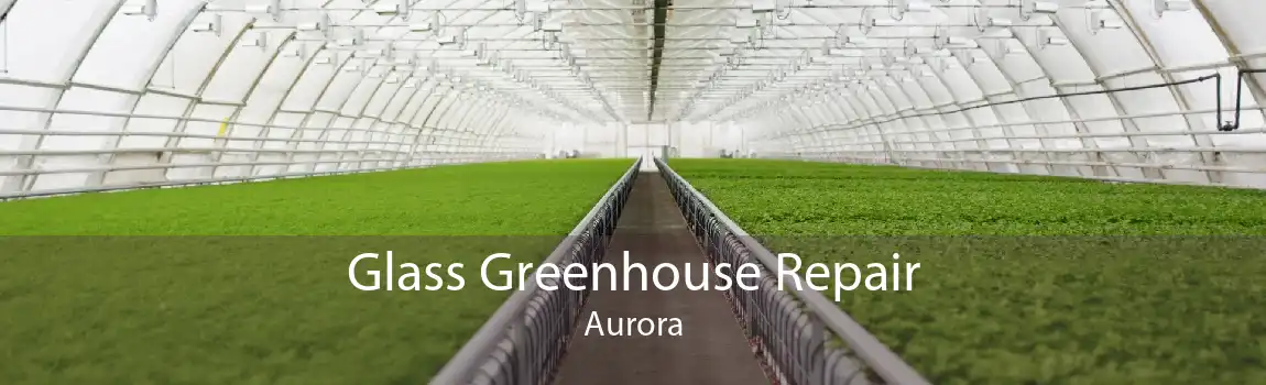 Glass Greenhouse Repair Aurora